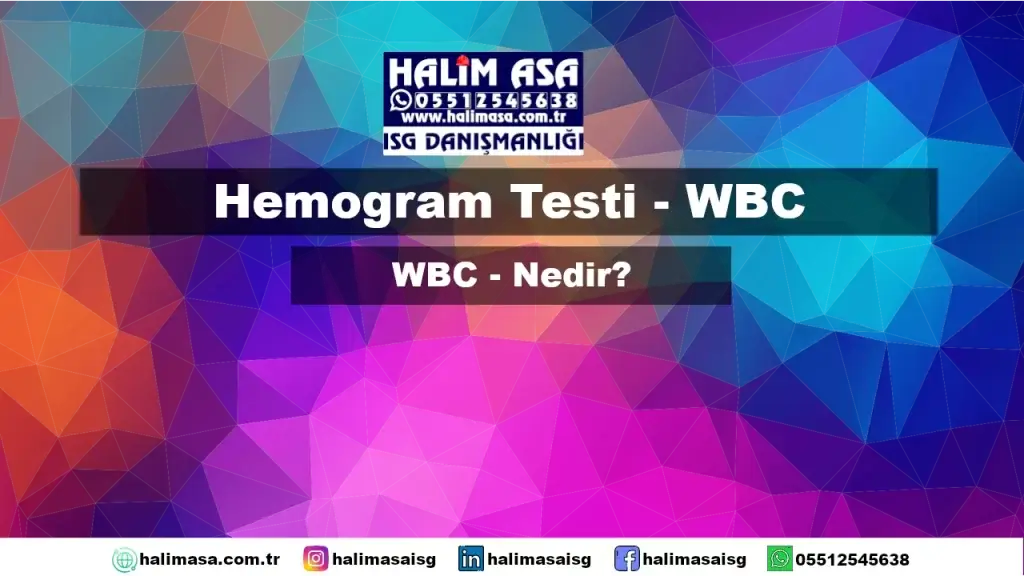 WBC Nedir?